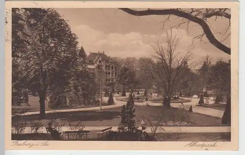 (93117) AK Freiberg, Sachsen, Albertpark 1927