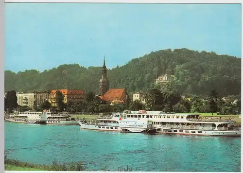 (92332) AK Bad Schandau, Elbpanorama 1973