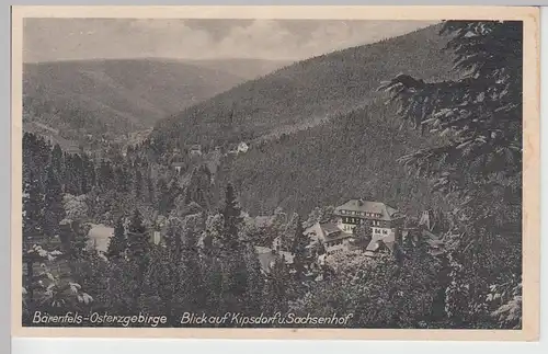 (91165) AK Bärenfels i. Erz., Blick a. Kipsdorf u. Sachsenhof, 1940er