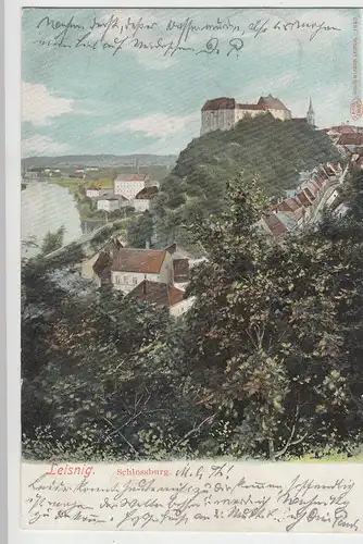 (90881) AK Leisnig, Schlossburg 1905