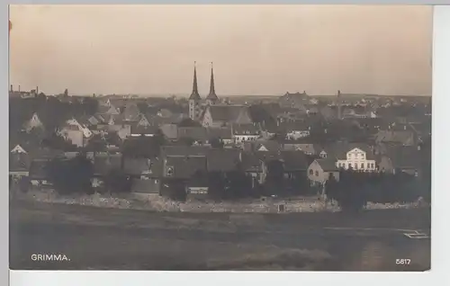 (90387) Foto AK Grimma, Totale, 1920er