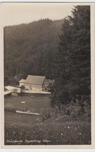 (88899) Foto AK Seyde i. Erz., Zwergbaude, 1927