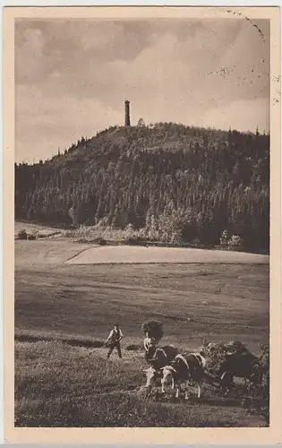 (88816) AK Altenberg i.Erz., Am Gaisingberg, 1930