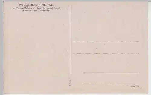 (88489) AK Waldgasthaus Höllmühle bei Penig, 1940er