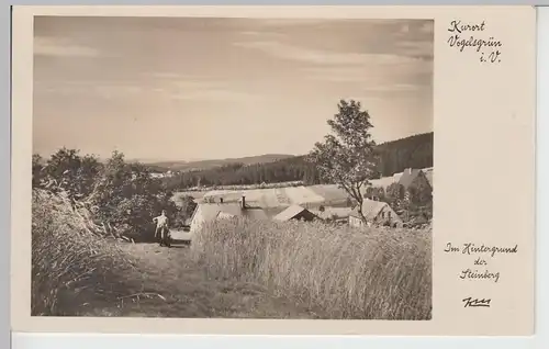 (88375) Foto AK Vogelsgrün i.V., Ansicht mit Steinberg, 1937