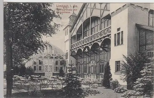 (88374) AK Limbach i. Sa., Stadtparkhalle mit Palmenhaus, Feldpost 1915
