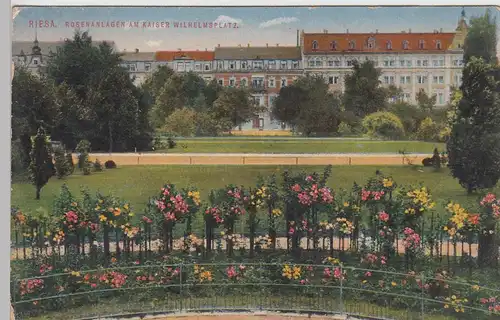 (88359) AK Riesa, Rosenanlagen am Kaiser Wilhelm-Platz, 1917