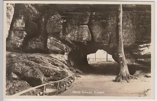 (87688) Foto AK Sächs. Schweiz, Kuhstall, vor 1945