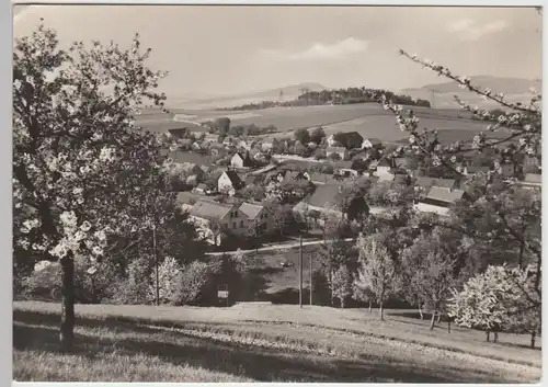 (87248) Foto AK Steina bei Kamenz, Gesamtansicht 1966