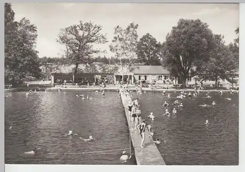 (86567) Foto AK Schildau, Freibad am Neumühlenteich 1984