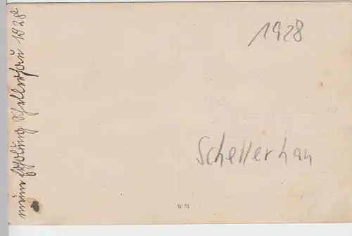 (85385) Foto AK Schellerhau, Erholungsheim o.ä., Inneres 1928