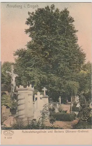 (85217) AK Annaberg i. Erz., Auferstehungslinde u.Uttmann-Denkmal, bis 1905