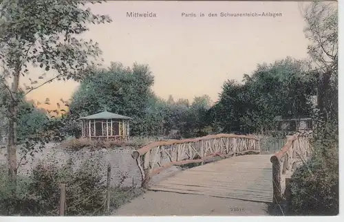 (83766) AK Mittweida, Partie in den Schwanenteich Anlagen, 1909