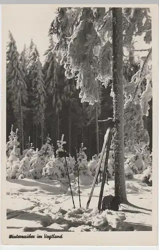 (83125) Foto AK Winterzauber im Vogtland 1958