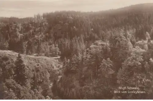 (824) Foto AK Vogtl. Schweiz, Blick vom Loreleyfelsen 1930