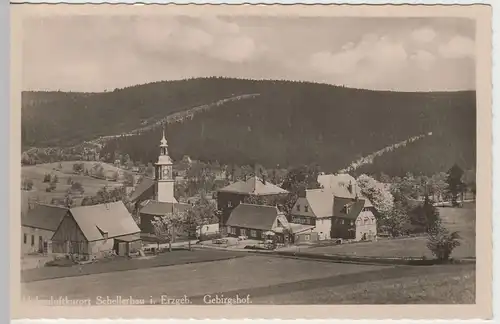 (81626) Foto AK Schellerhau i. Erzgeb. Gebirgshof