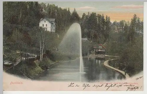 (81619) AK Buchholz, Blick nach dem Waldschlösschen, 1907