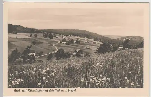 (80768) Foto AK Schellerhau i. Erzgebirge, Gesamtansicht