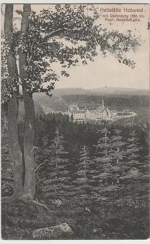 (80408) AK Heilstätte Hohwald, Sa., Valtenberg 1914