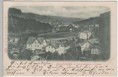 (79868) AK Buschmühle bei Schmiedeberg, Erzgeb., Ortsansicht 1901