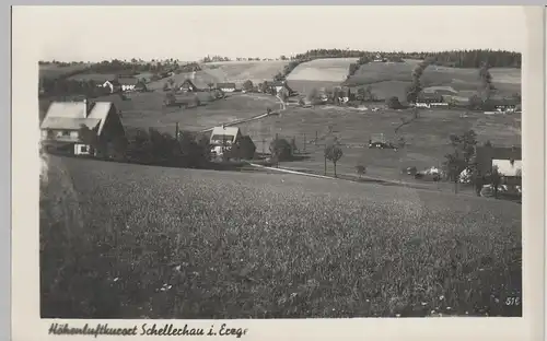 (79861) Foto AK Schellerhau, Erzgeb., Panorama, nach 1945