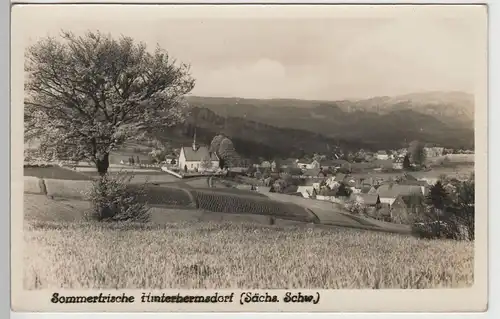 (79149) Foto AK Sächs. Schweiz, Hinterhermsdorf, Panorama 1956