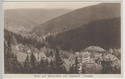 (77501) AK Blick auf Bärenfels und Kipsdorf, 1955