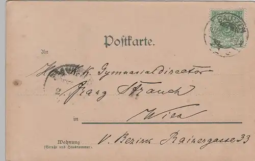 (76303) AK Gruß aus Bautzen, Stadtansicht, bis 1902