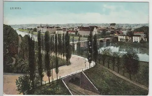 (76287) AK Grimma, Stadtansicht, vor 1945