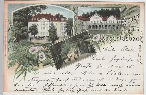 (76276) AK Gruß aus Augustusbad 1903