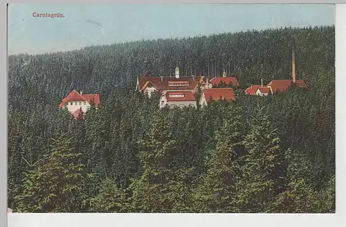 (75890) AK Carolagrün, Vogtl., Heilstätte, Panorama, vor 1945