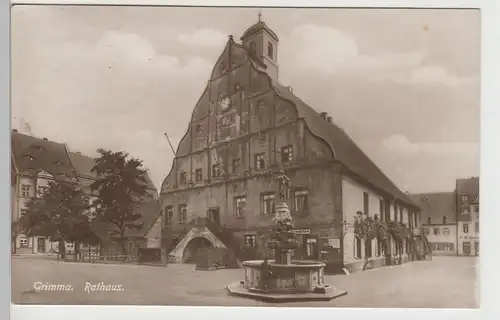 (73556) Foto AK Grimma, Rathaus, Eva Brunnen 1927