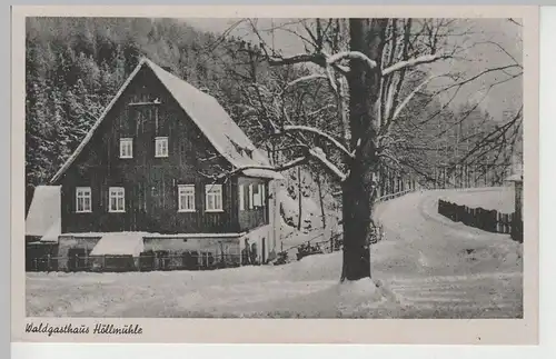 (73521) AK Penig, Waldgaststätte Höllmühle, vor 1945