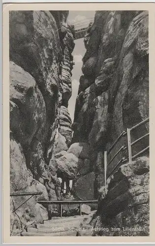 (69325) AK Sächs. Schweiz, Aufstieg zum Lilienstein 1957