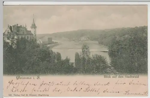 (64980) AK Grimma, Gattersburg, Blick auf den Stadtwald 1900