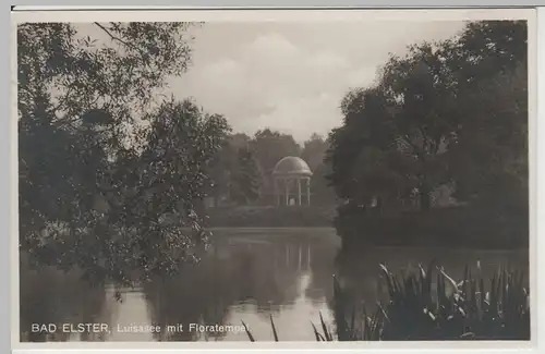 (64516) Foto AK Bad Elster, Luisasee, Floratempel 1931