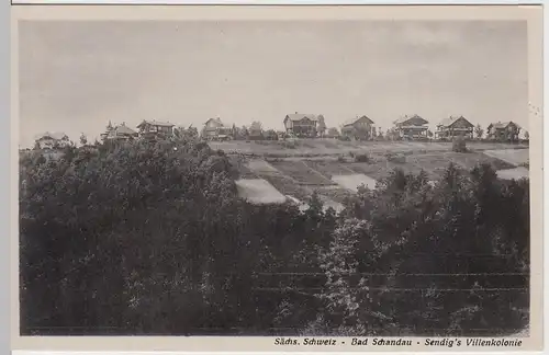 (61096) AK Sächs. Schweiz, Bad Schandau, Sendigs Villenkolonie, vor 1945