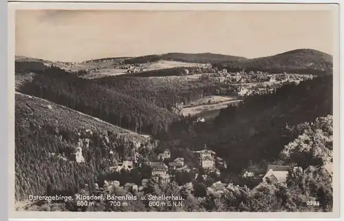 (60920) Foto AK Kipsdorf, Bärenfels u. Schellerhau i. Osterzgebirge vor 1945