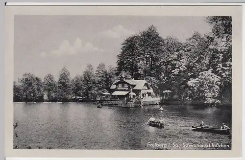 (60875) AK Freiberg i. Sa., Schwanenschlösschen