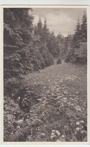 (60271) AK Zechengrund bei Oberwiesenthal, vor 1945