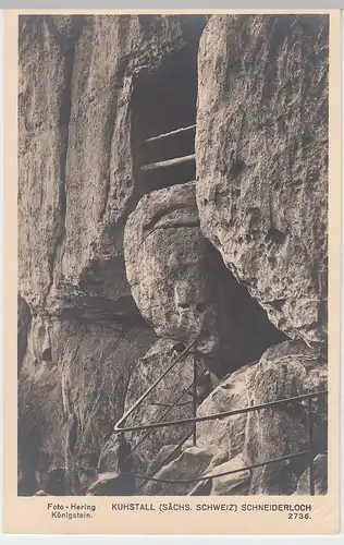 (56040) Foto AK Sächsische Schweiz, Kuhstall, Schneiderloch 1953