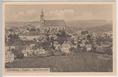 (56005) AK Schneeberg im Erzgebirge, Gesamtansicht, vor 1945