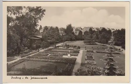 (52449) Foto AK Freiberg, Sachsen, Johannispark 1956