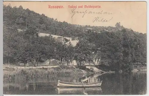 (4985) AK Roßwein, Talbad, Freiberger Mulde 1911