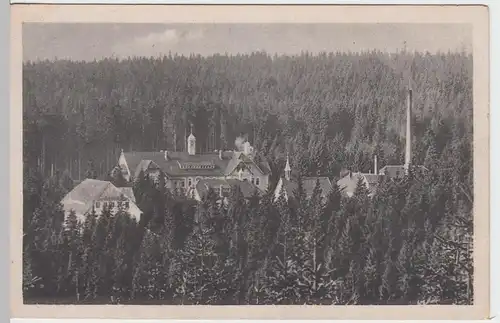 (47229) AK Bad Reiboldsgrün, Vogtl., Heilstätte Carolagrün, vor 1945