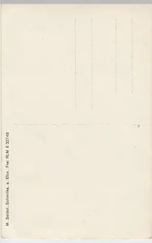 (46586) Foto AK Sächsische Schweiz, Basteifelsen, 1933-45