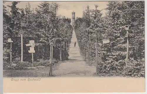 (44922) AK Gruss vom Hochwald, Blick zum Aussichtsturm, 1905