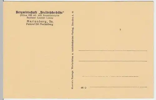 (4477) AK Dreibrüderhöhe, Erzg., Gastwirtschaft, Aussichtsturm, vor 1945