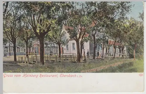 (44144) AK Ebersbach, Hainberg Restaurant, 1908