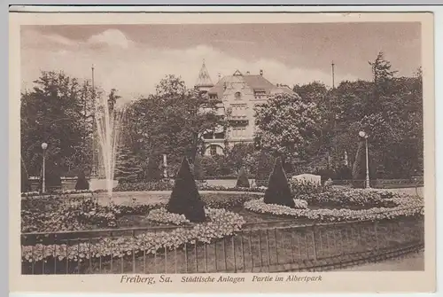 (43349) AK Freiberg, Sachsen, Partie im Albertpark, vor 1945